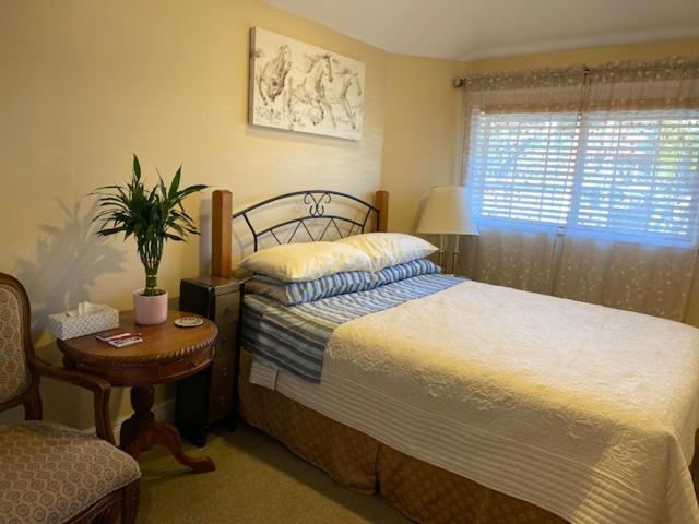 Ocean Breeze Executive Bed And Breakfast North Vancouver Exteriör bild