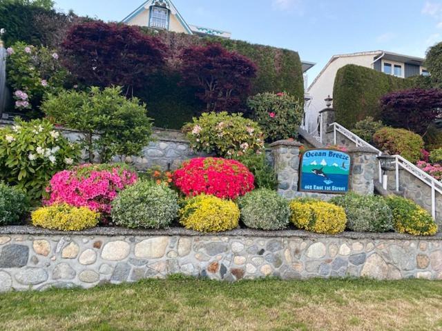 Ocean Breeze Executive Bed And Breakfast North Vancouver Exteriör bild