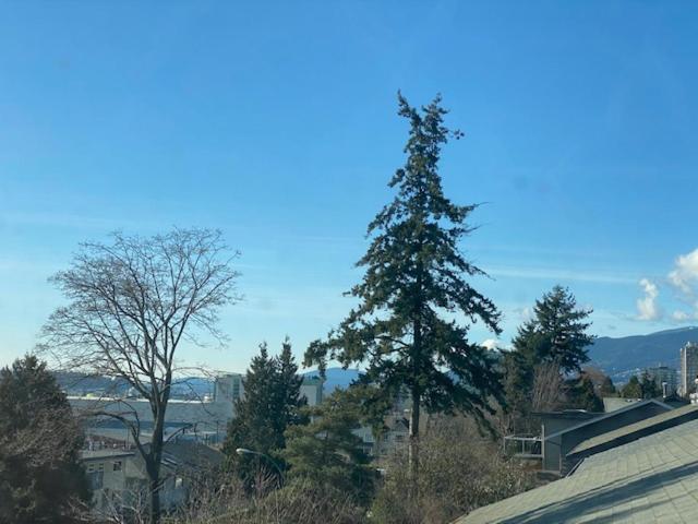 Ocean Breeze Executive Bed And Breakfast North Vancouver Exteriör bild